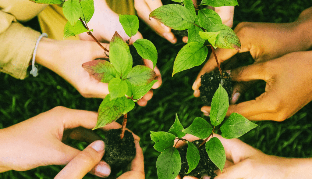 YTC and our Roadmap to Net-Zero